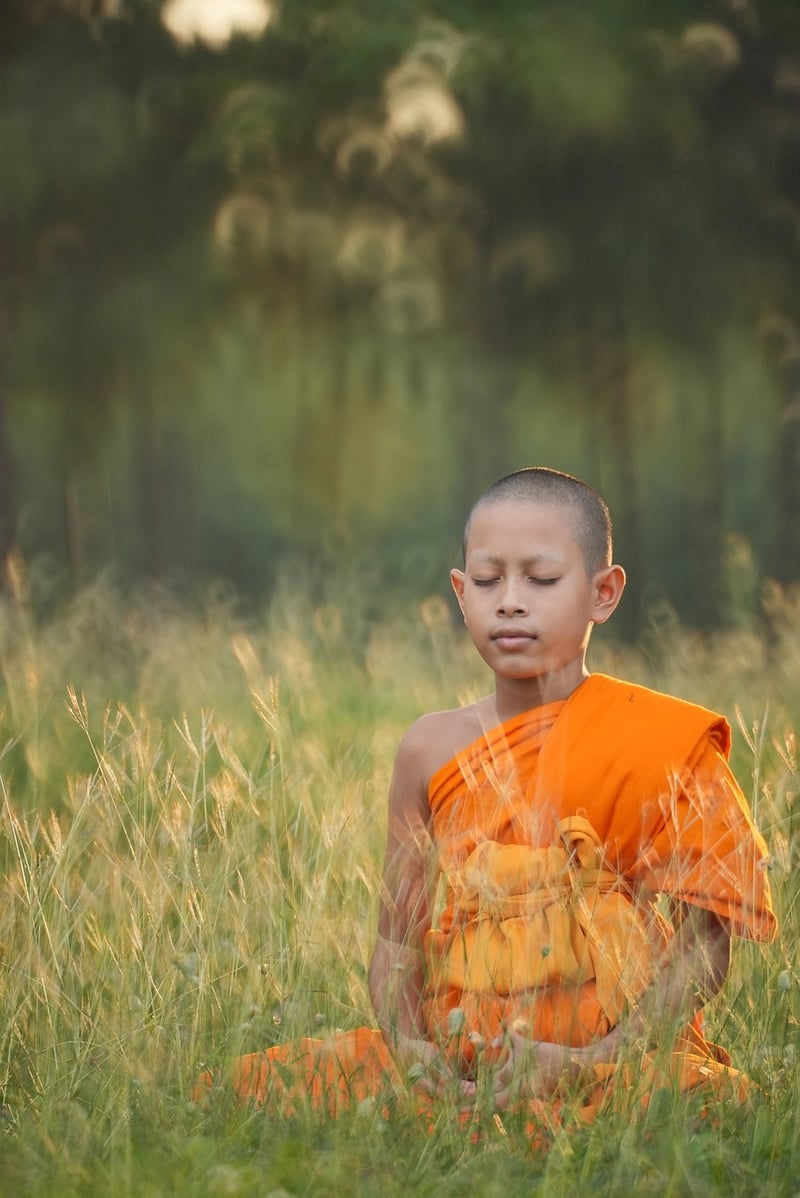 Outdoor Yoga in Nature